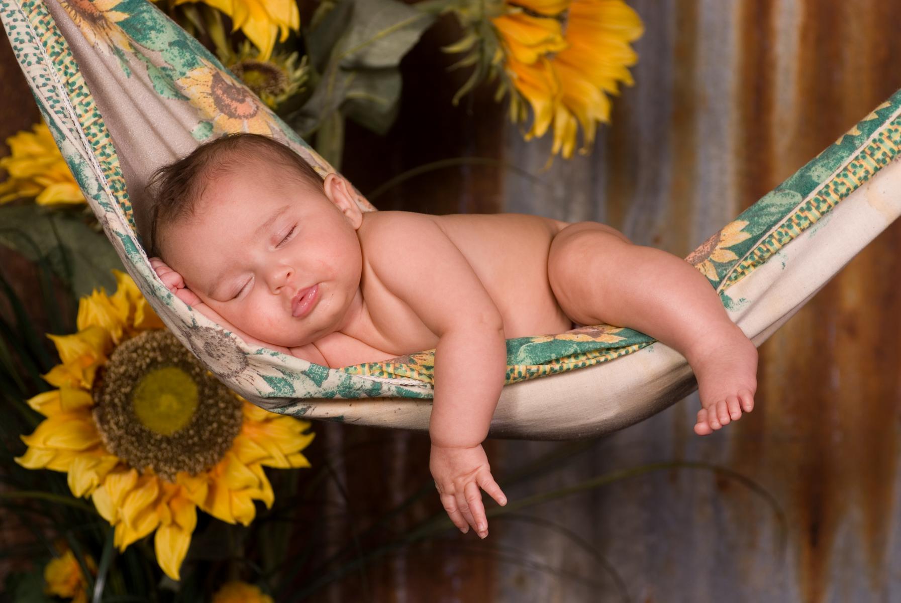 Sleeping Baby Portrait in a Hammock by Robertsons' Warehouse Photography, Wichita, KS