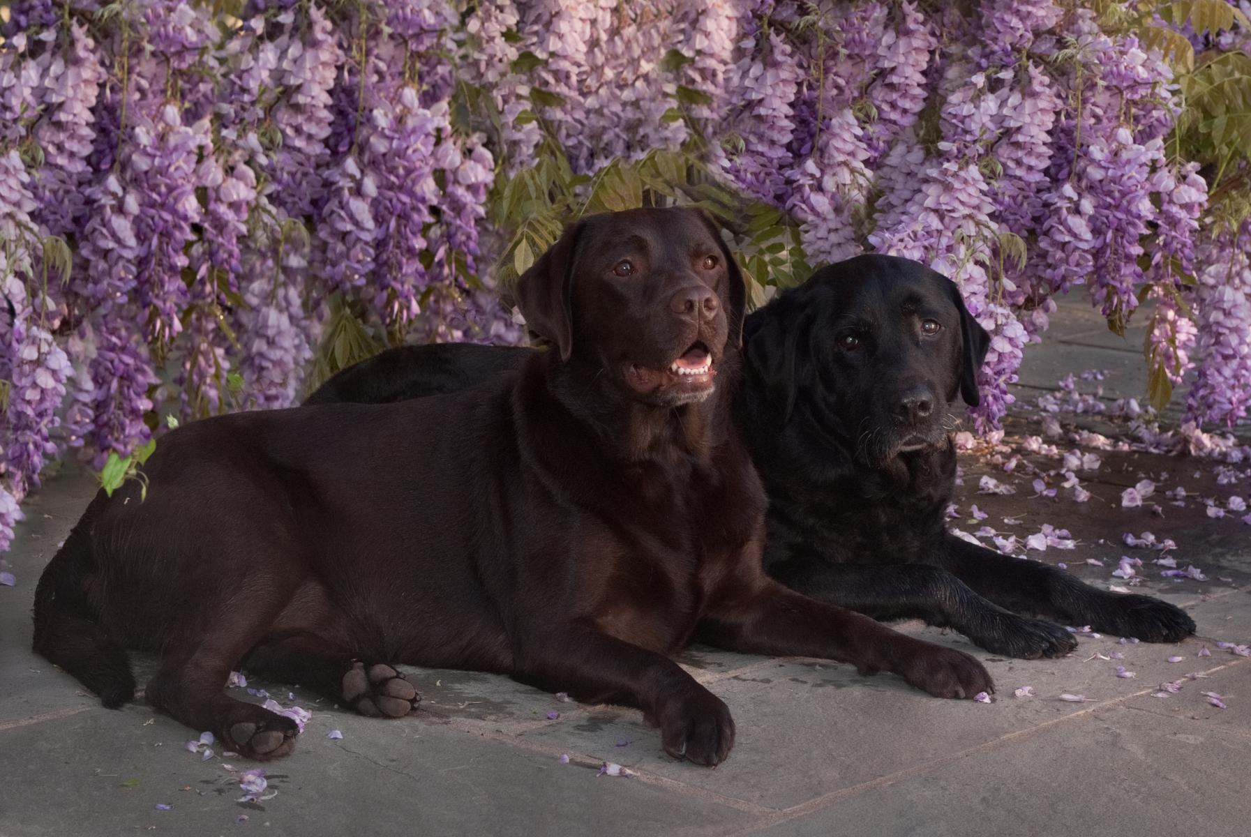 Grace and Jackson 2012