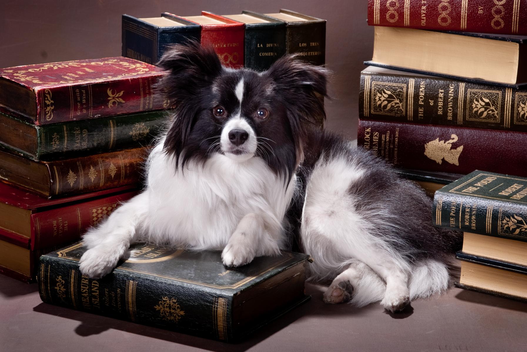 Library Scene at Robertsons'