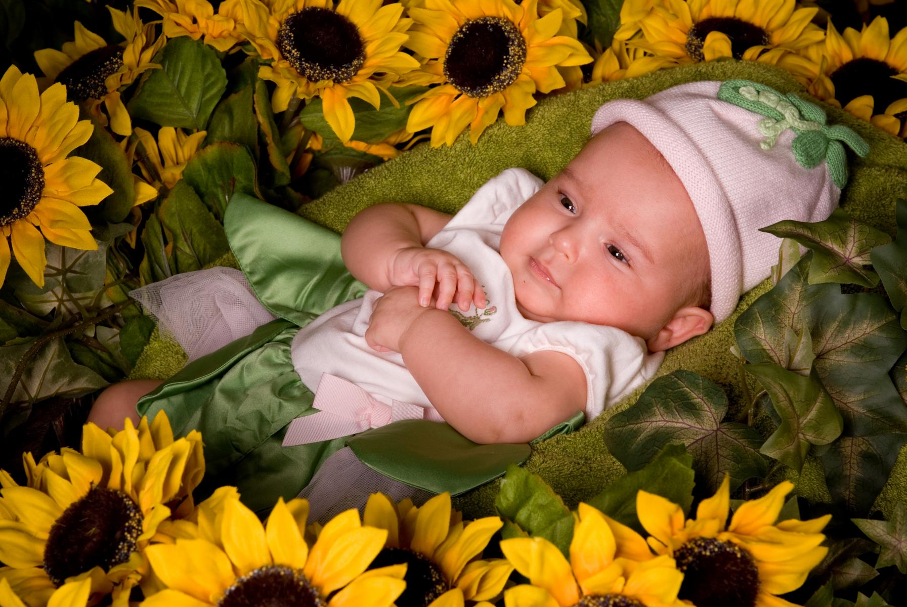 3 Month Old Baby Girl Portrait in Sunflowers by Robertsons' Warehouse Photography, Wichita, KS