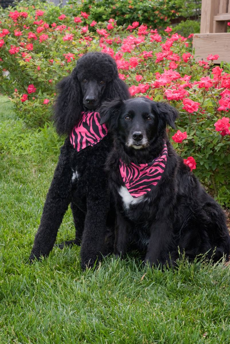 On location in Wilson Lake Estates